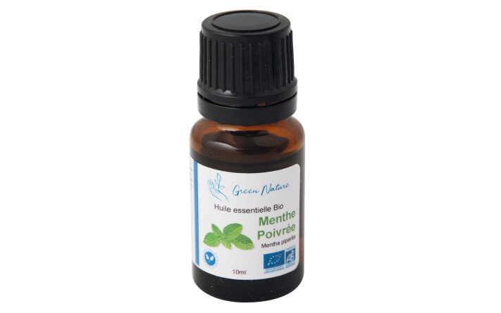 Menthe poivrée Bio