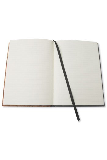 Carnet Léonard de Vinci