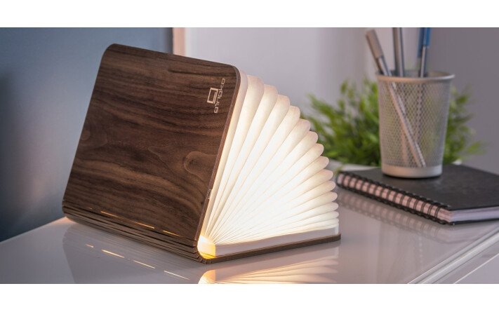 Lampe-livre
