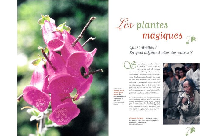 Enquête sur les plantes magiques