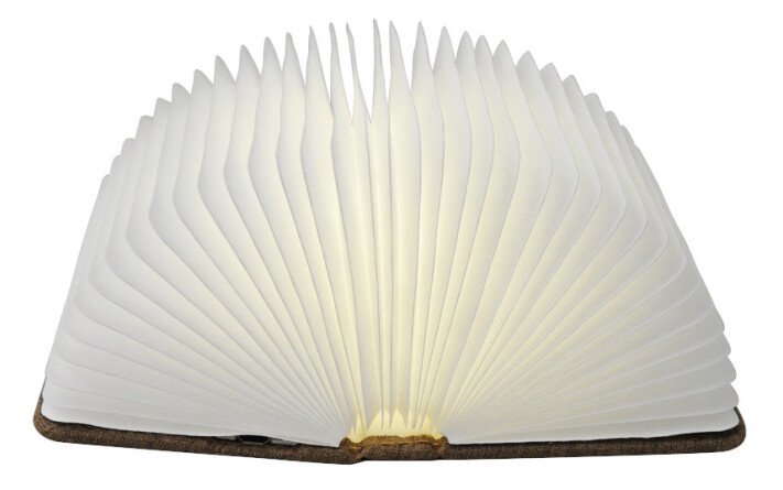 Lampe-livre