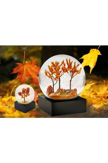 Feuillage d'automne...
