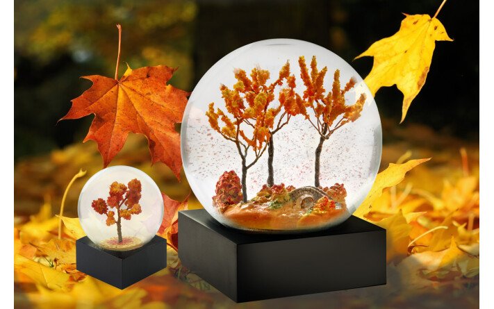 Feuillage d'automne...