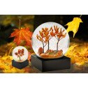 Feuillage d'automne...
