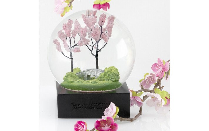 Spring blossom...