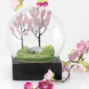 Spring blossom...