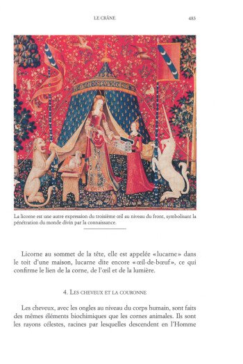 Le symbolisme du corps humain