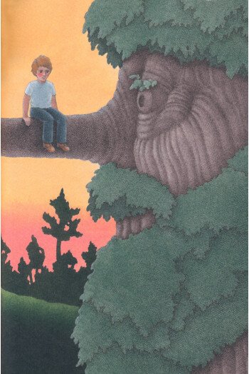 Voyage au pays des arbres