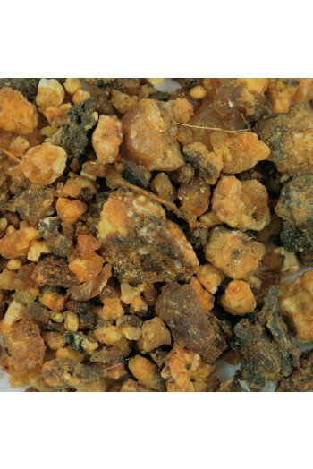 Encens Opoponax