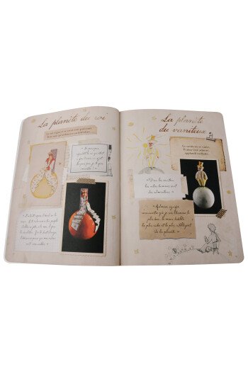 Journal d'une vie - Antoine de Saint-Exupéry, Petit Prince parmi les hommes