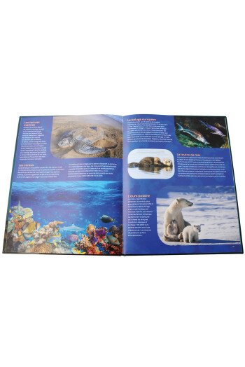 Les animaux en danger
