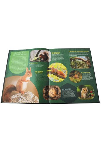 Les animaux de la forêt