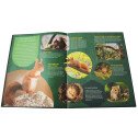 Les animaux de la forêt