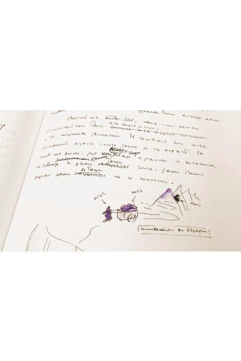 Courrier Sud