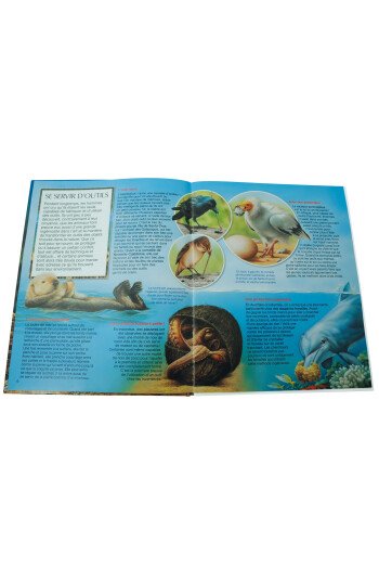 Les animaux très malins