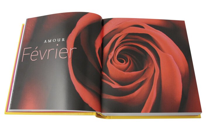 ANNEE DE BONHEUR EN 365 IMAGES ET PENSEES