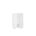 DIFFUSEUR MINI BLANC - ION