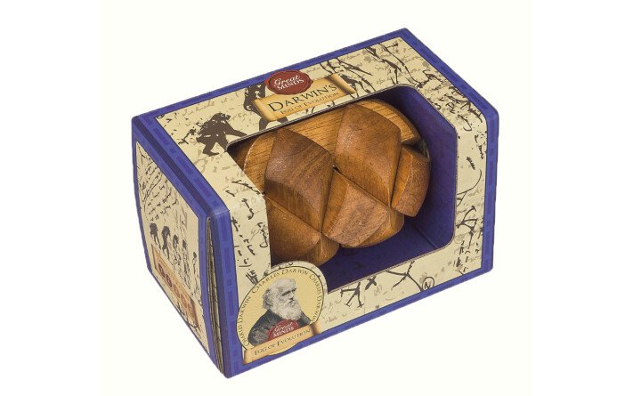 CASSE TETE OEUF DE DARWIN