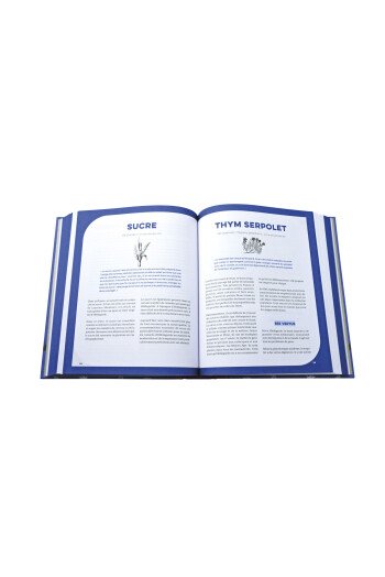Ma Bible Hildegarde de Bingen
