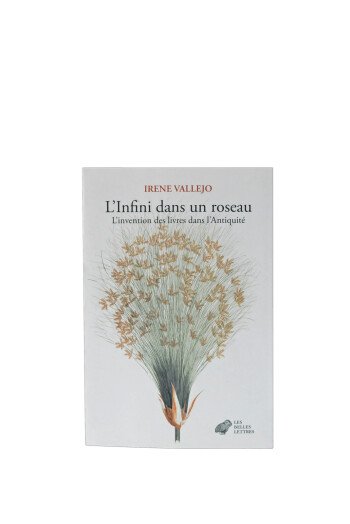 INFINI DANS UN ROSEAU