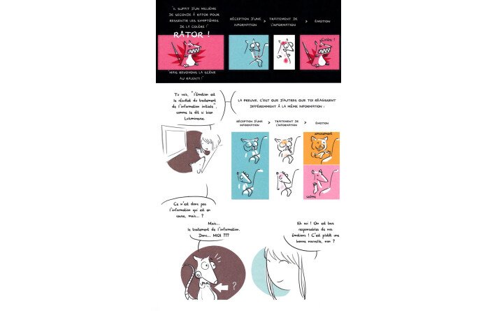 Emotions : enquête et mode d'emploi