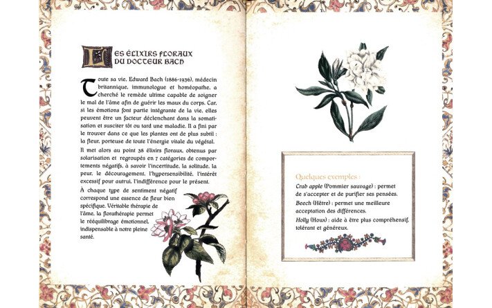 Miraculeuses plantes d’Hildegarde de Bingen
