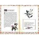 Miraculeuses plantes d’Hildegarde de Bingen