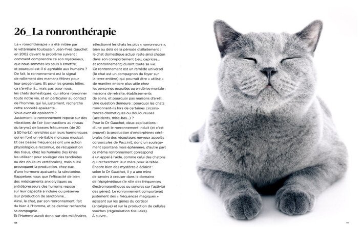 Encyclopédie du savoir relatif et absolu des chats