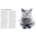 Encyclopédie du savoir relatif et absolu des chats