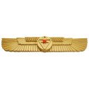 AILES AMORC OR