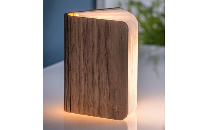 Lampe-livre