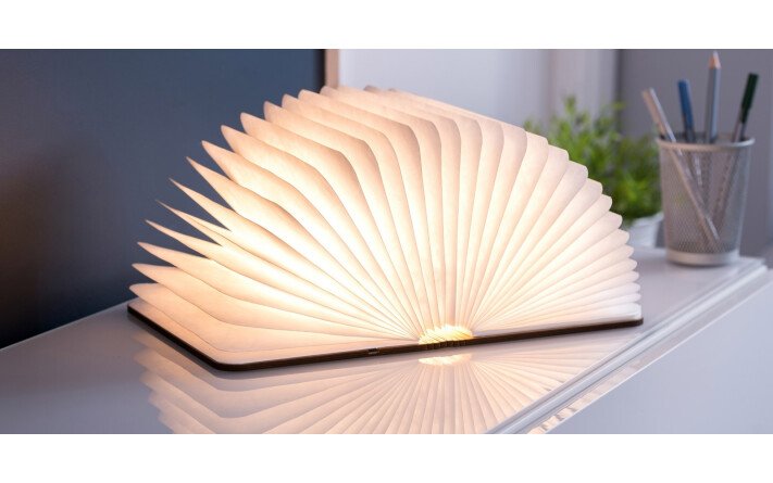 Lampe-livre