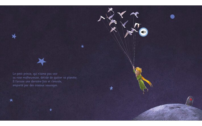 Le petit prince raconté aux enfants