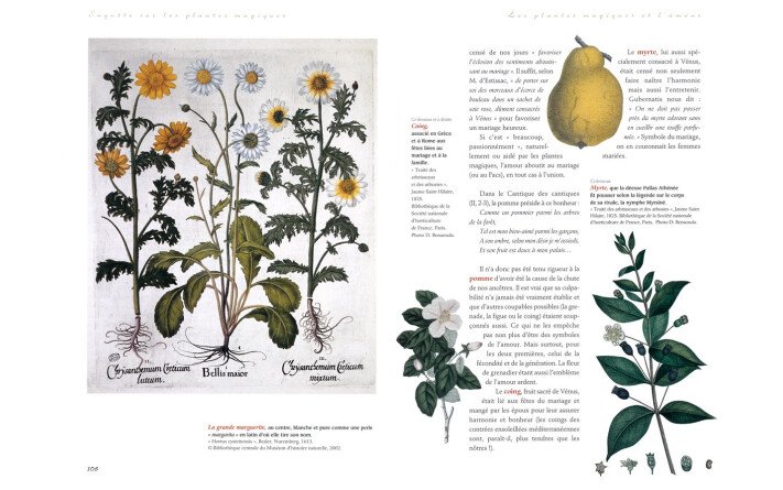 Enquête sur les plantes magiques