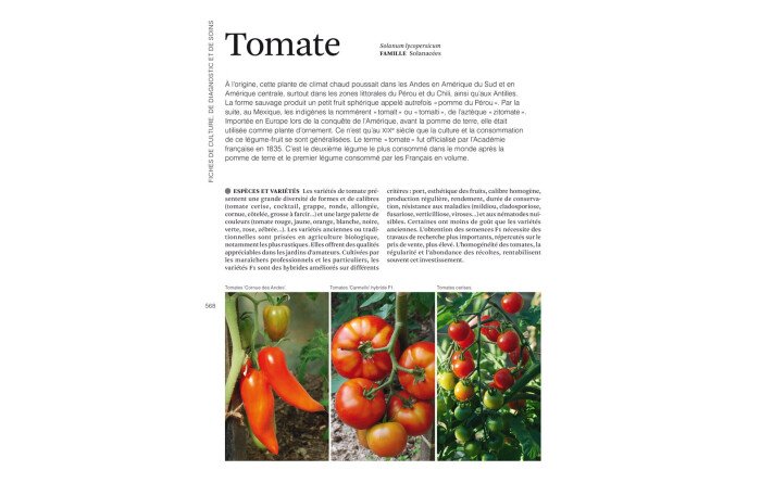 Le grand livre du potager sans pesticides