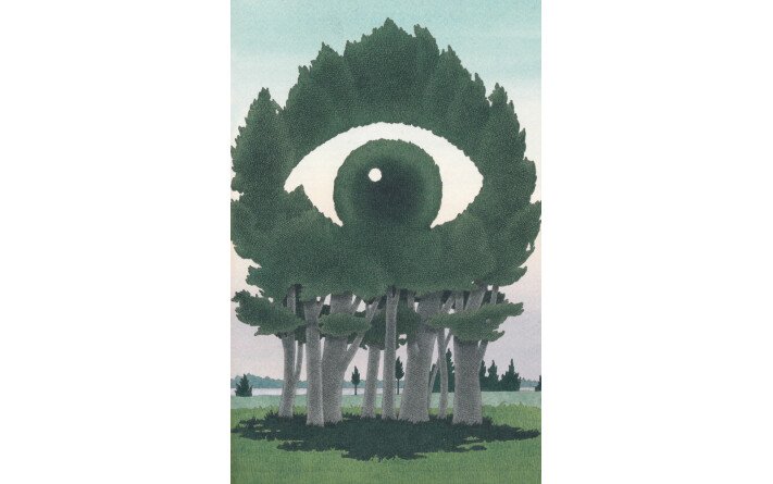 Voyage au pays des arbres