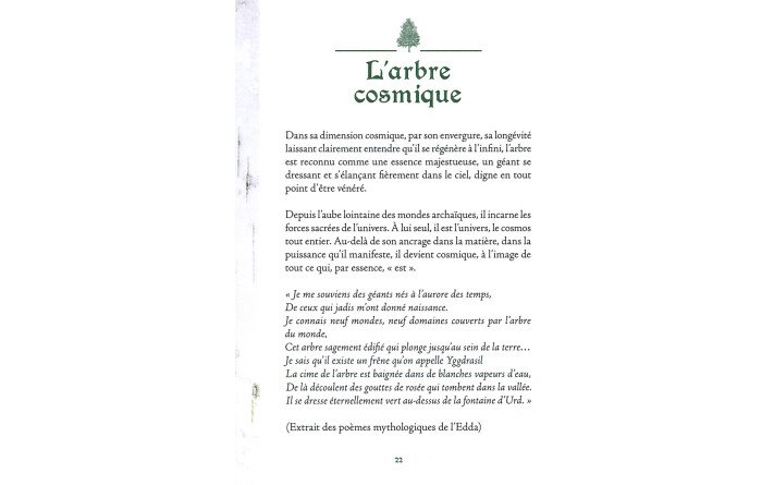 Arbres sacrés