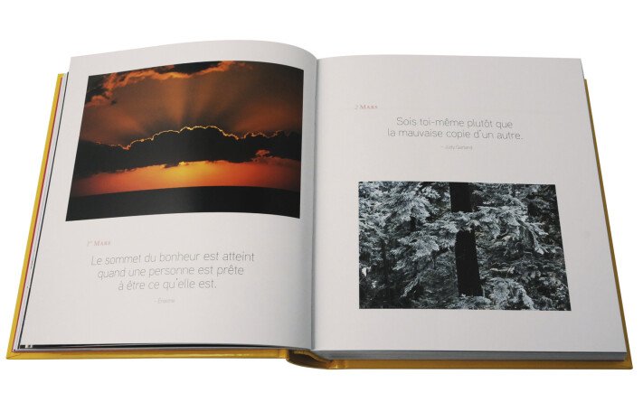 ANNEE DE BONHEUR EN 365 IMAGES ET PENSEES