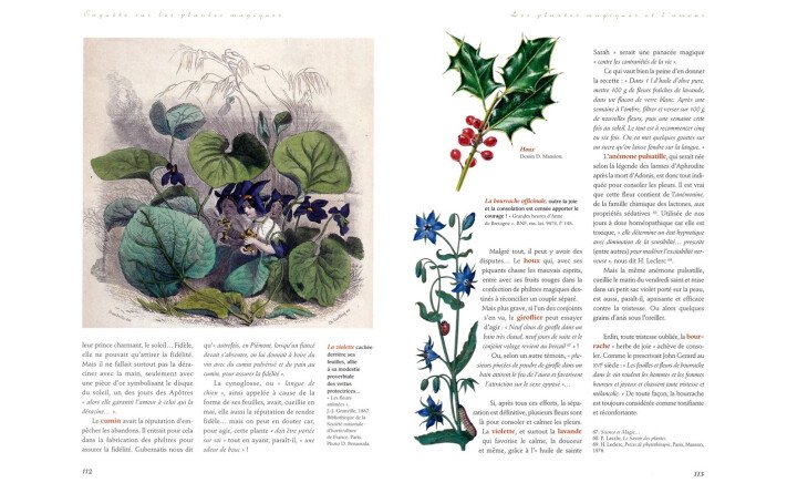 Enquête sur les plantes magiques