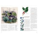 Enquête sur les plantes magiques
