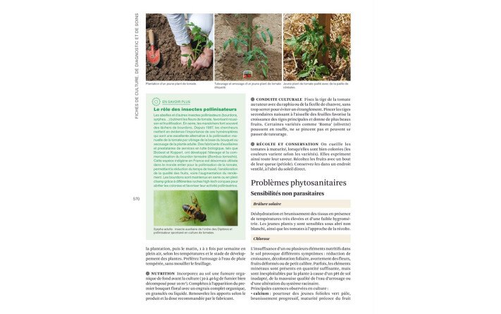 Le grand livre du potager sans pesticides