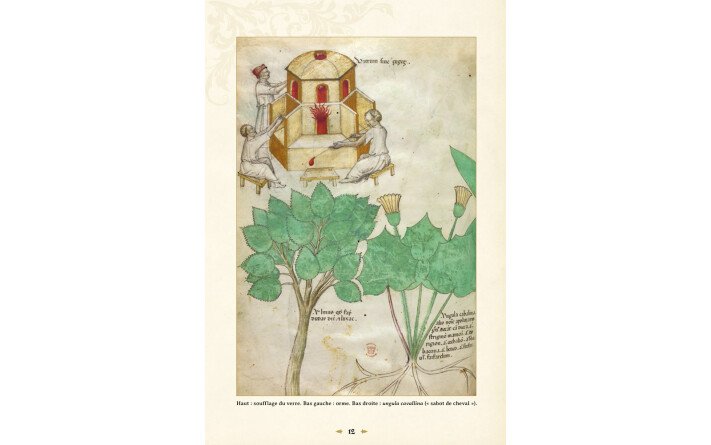 L'herbier fabuleux