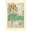 L'herbier fabuleux