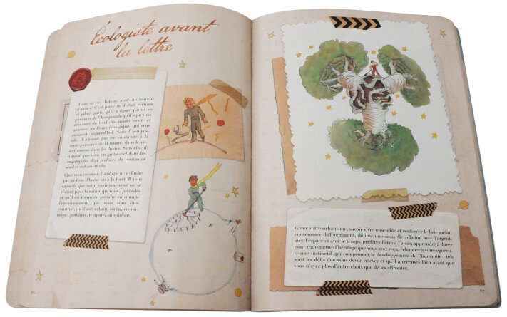 Journal d'une vie - Antoine de Saint-Exupéry, Petit Prince parmi les hommes