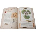 Journal d'une vie - Antoine de Saint-Exupéry, Petit Prince parmi les hommes
