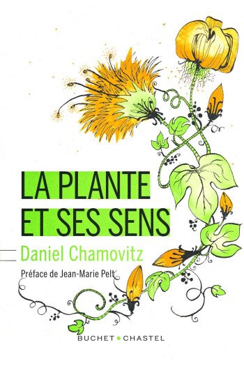 La plante et ses sens
