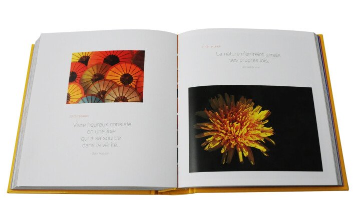 ANNEE DE BONHEUR EN 365 IMAGES ET PENSEES