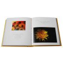 ANNEE DE BONHEUR EN 365 IMAGES ET PENSEES