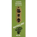 Morning Star Japanese incense
