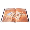 Les manuscrits de la Mer Morte